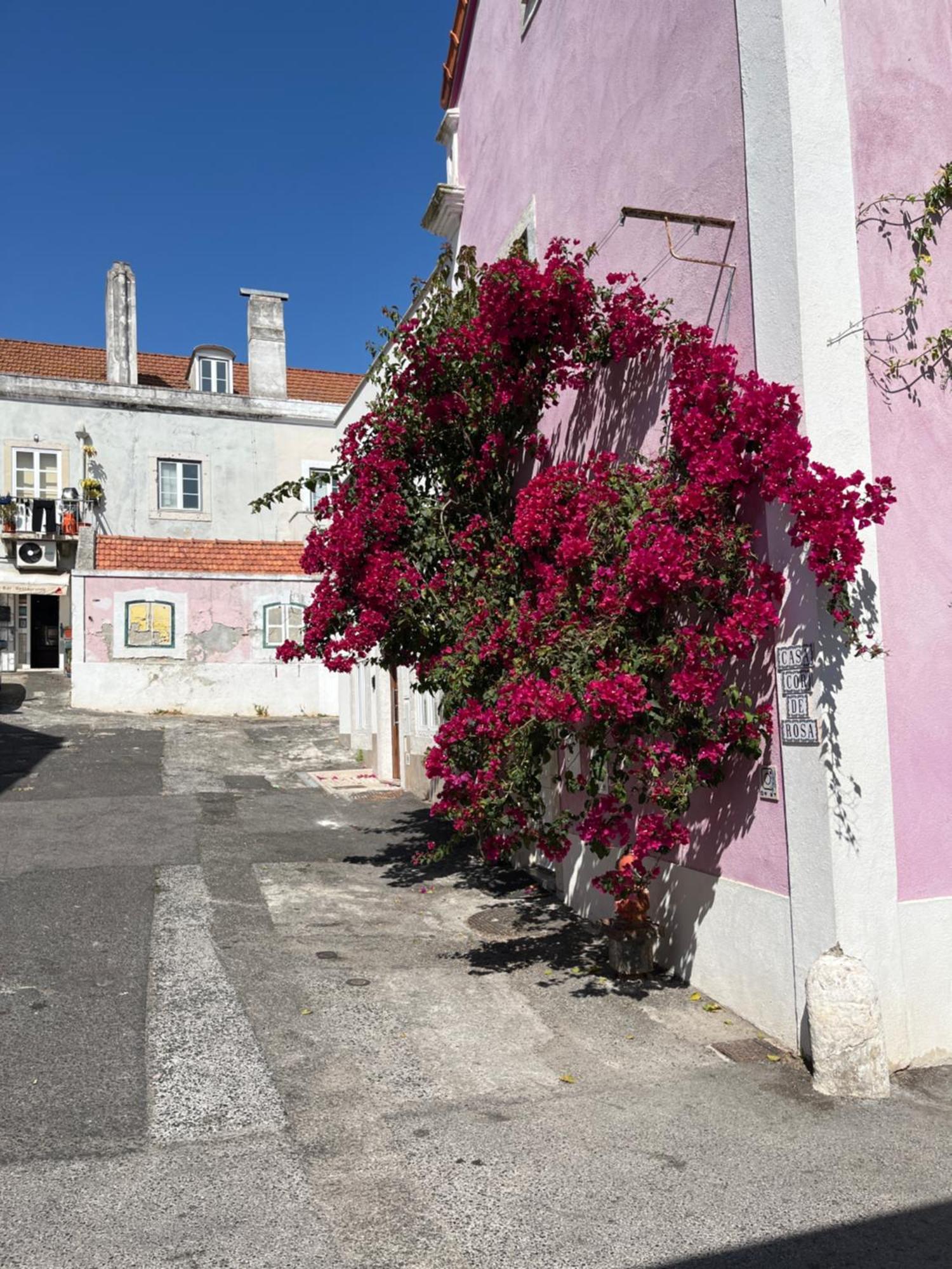 Casa Cor De Rosa Apartamento Lisboa Exterior foto